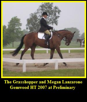 Team CEO Eventing