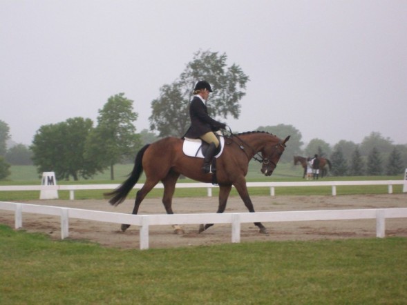 Hopper CCI* 2007