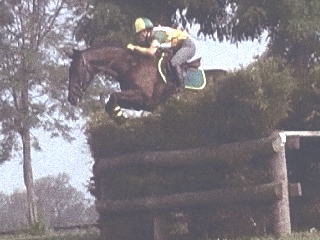 Hail to the Chief at Intermediate