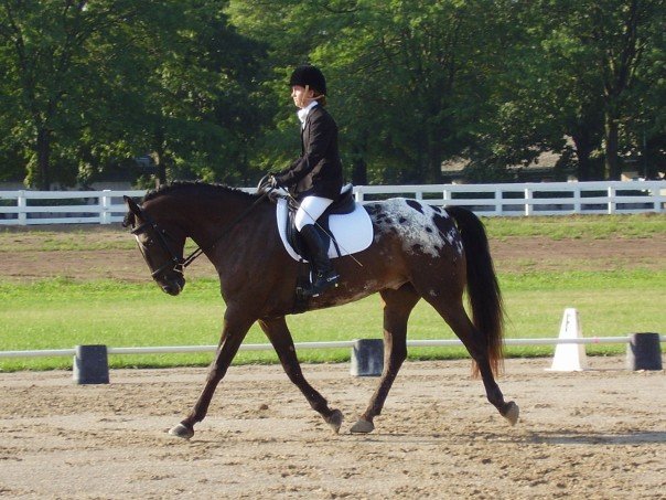 Team CEO Eventing