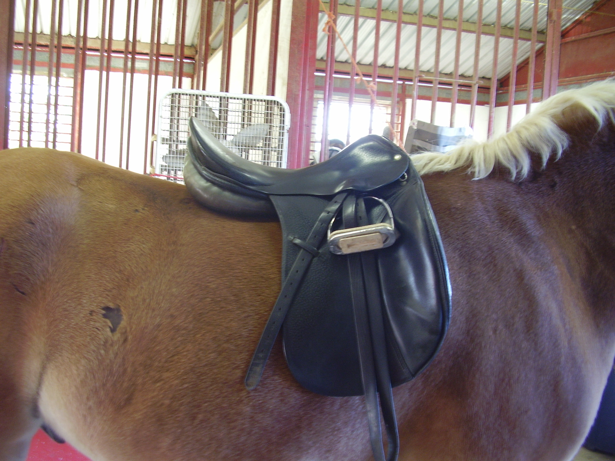 Roosli Saddle