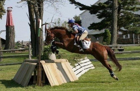 Team CEO Eventing