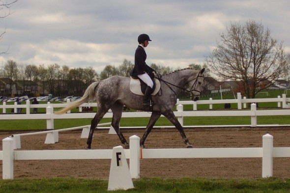 Team CEO Eventing